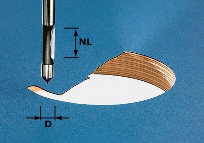 Fraise De Perçage HW Avec Queue De 8mm FESTOOL HW S8 D8/19 - 491037 1 Fraise De Perçage HW Avec Queue De 8mm FESTOOL HW S8 D8/19 - 491037