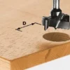 Fraise Pour Ferrures HW Avec Queue De 8mm FESTOOL HW S8 D35 - 491077
